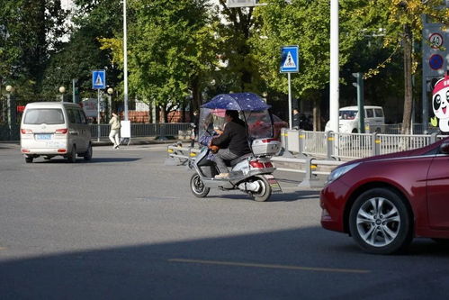 寶興縣規(guī)范電動(dòng)三輪與四輪車(chē)管理 上路需持證上牌，強(qiáng)化生產(chǎn)源頭治理